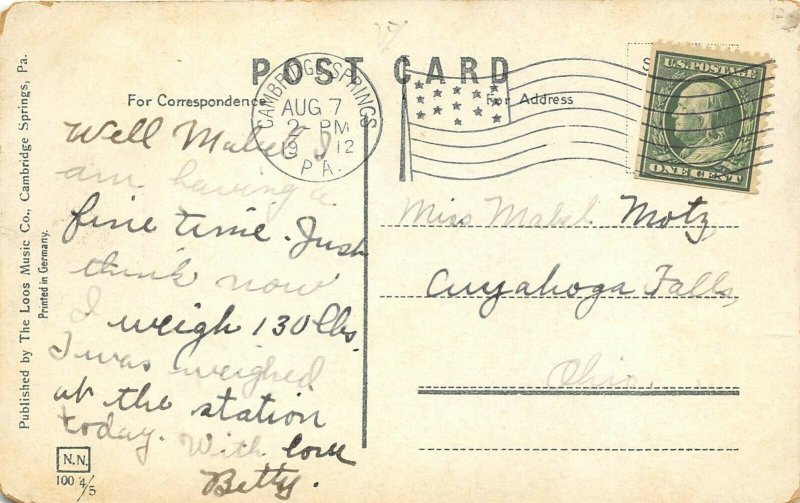 Cambridge Springs Pennsylvania 1912 Postcard Riverside Park