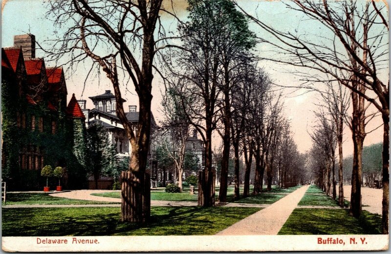 Vtg Buffalo New York NY Delaware Avenue Street View Homes Pre-1907 UDB Postcard