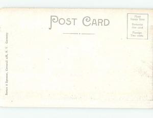 Divided-Back RUSTIC SCENE Catskill Mountains - Kingston & Poughkeepsie NY hk3989