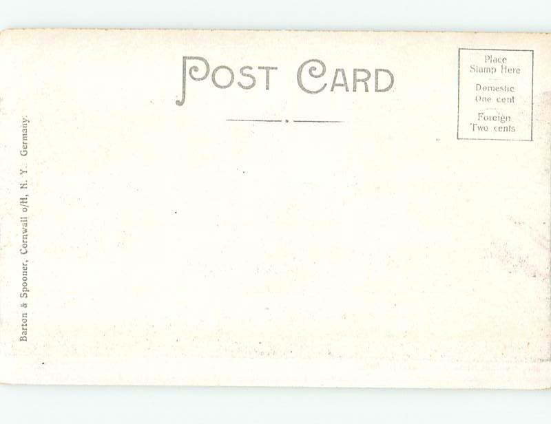 Divided-Back RUSTIC SCENE Catskill Mountains - Kingston & Poughkeepsie NY hk3989