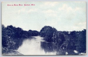 1909 Huron River Ypsilanti Michigan Forest Trees Scenic Boating Posted Postcard