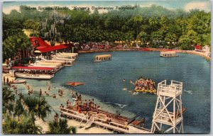 Silver Spring Florida Nature's Underwater Fairyland Glass Bottom Boats Postcard