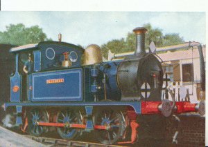 Transport Postcard - Bluebell Railway at Sheffield Park Station Sussex Ref 9474A