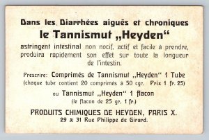 French  Diarrhea Medicine Tannismut Heyden  Advertisement  Paris c1910 Postcard