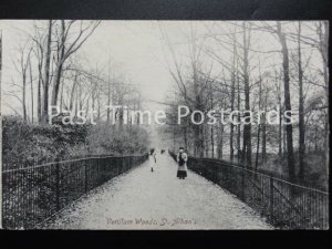 Hertfordshire ST ALBANS Verulam Woods c1913