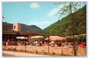c1950's Morton Service Area Patio Restaurant Turnpike West Virginia Postcard