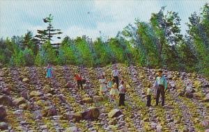 Canada Quebec Lourdes Rigaud The Stone Field