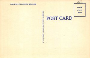 Cherokee, Moonlight Cherokee, North Carolina NC Postcard