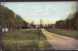Gloucestershire Postcard - The Broad Ride, Cirencester Park   RS3484