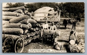 EXAGGERATED CORN CANADA 1910 ANTIQUE REAL PHOTO POSTCARD RPPC montage