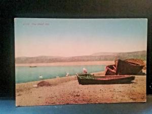 Postcard  The Dead Sea    Z6