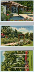 3 Postcards ST. PETERSBURG, FL ~ Entrance SUNKEN GARDENS Rose Arbor, Bridal Arch