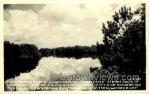 Suwannee River - Tallahassee, Florida FL