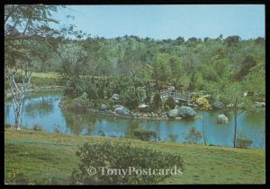 Santo Domingo - Puentecito en el lago del Jardin del Jardin Botanico