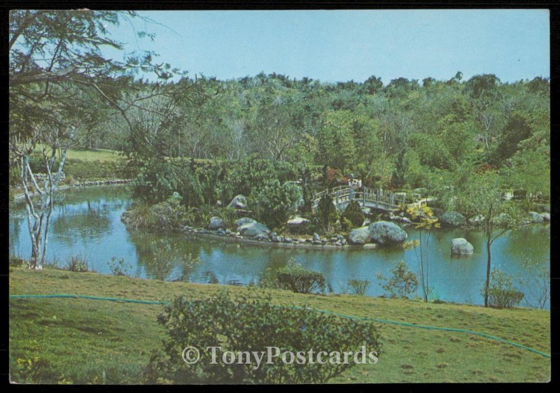 Santo Domingo - Puentecito en el lago del Jardin del Jardin Botanico