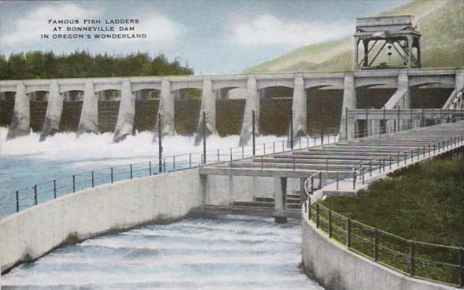 Oregon Fish Ladders At Bonneville Dam