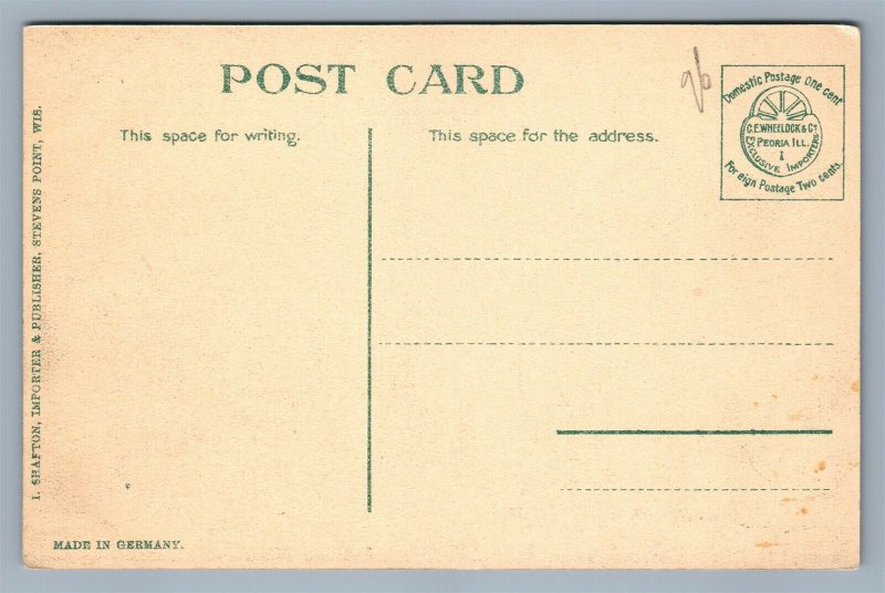 STEVEN'S POINT WI MAIN STREET ANTIQUE POSTCARD