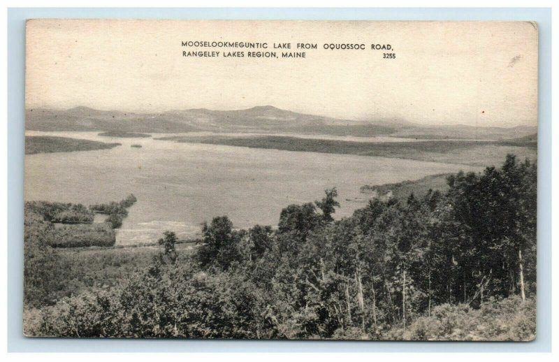 Rangeley Lakes ME Region Mooselookmeguntic Lake from Oquossoc Road Postcard