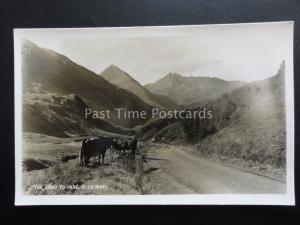 Scotland GLEN SHIEL The Road To Skye shows Cattle in Road - Old RP Postcard