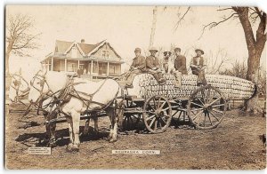 NEBRASKA CORN Farming Exaggeration RPPC Horse Wagon Olson Photo 1911 Postcard