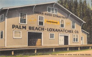 Loxahatchee Florida Indian River Citrus Fruits Packing House, Color Linen PCU101