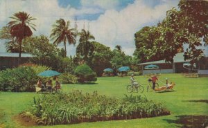 Hawaii Tropical Garden of Kauai Inn Charming Hotel Kauai Chrome Postcard 08.41