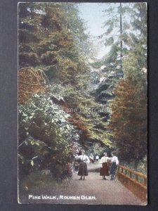 Renfrewshire: Pine Walk ROUKEN GLEN - Old Postcard