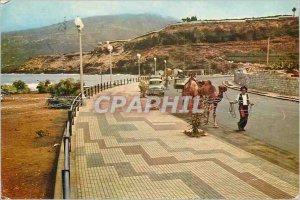 Postcard Modern Tenerife Santa Cruz de Tenerife Promenade Columbus