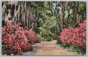 Linen~Azaleas & Spanish Moss @ Bellingrath Gardens Mobile AL~Vintage Postcard