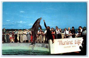 c1960 Marine Life Wonders Sea Porpoises Gulfport Mississippi MS Vintage Postcard