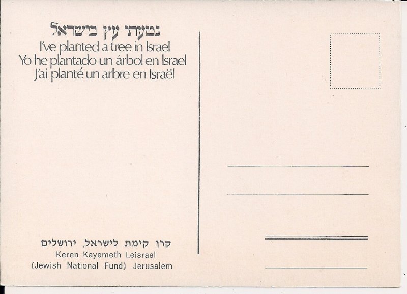 JUDAICA Jewish National Fund, Israel Tree Planting, Young Boy w Kibbutz Hat 1960