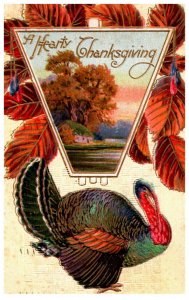 Thanksgiving   Turkey , Foilage