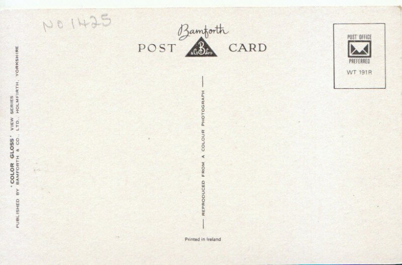 Wales Postcard - Menai Suspension Bridge - Anglesey - Ref TZ3936