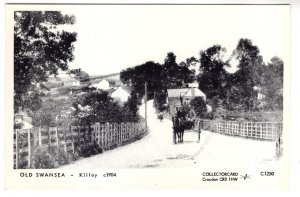 Killay Old Swansea, Wales, Horse and Buggy