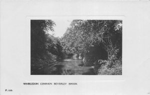 uk50727 wimbledon common beverley brook london real photo uk