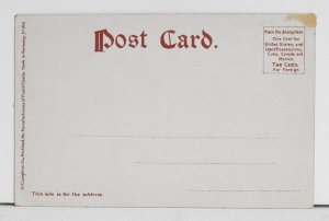 Albany, N. Y. Western Staircase, Capitol Building - Postcard