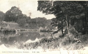 Vintage Postcard 1900's Lake In Dublin Zoological Society Gardens Dublin Ireland