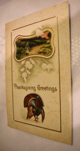 Thanksgiving Greetings Postcard Turkey J. J. Marks Posted Green 1 Cent Stamp