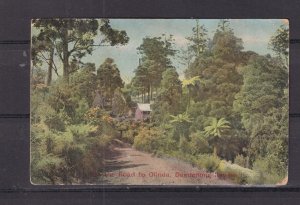 VICTORIA, DANDENONG RANGES, ROAD TO OLINDA, c1910 ppc., unused