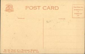 Palo Alto CA RR Train & Tree c1910 Postcard