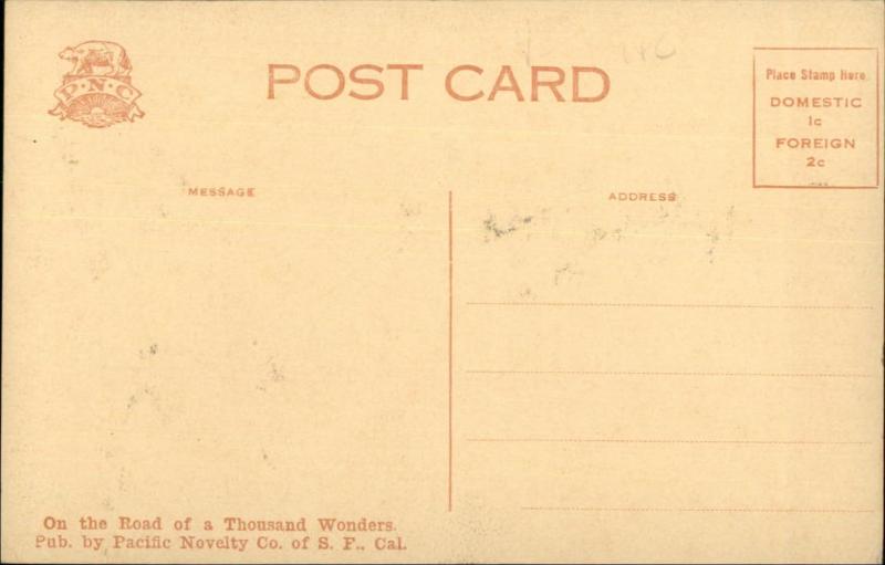 Palo Alto CA RR Train & Tree c1910 Postcard