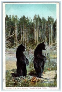 1911 Twin Cubs Bear Yellowstone Park Wyoming WY Vintage Antique Posted Postcard