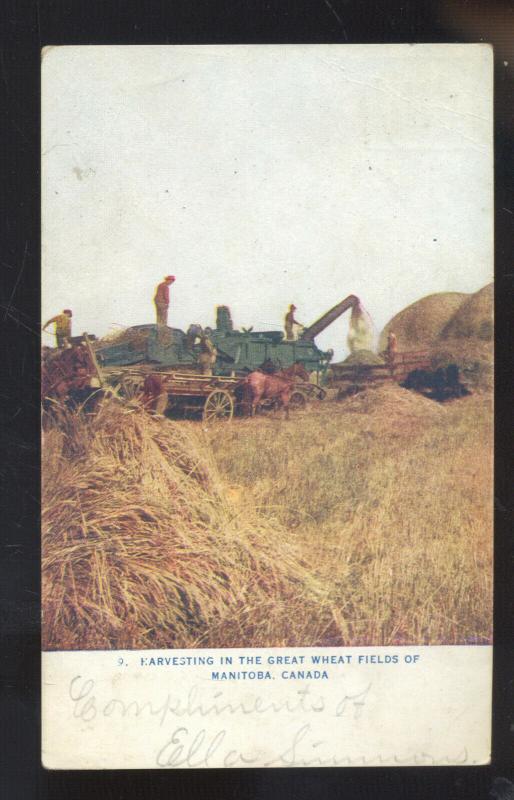 MANITOBA CANADA WHEAT FIELD FARMING HARVEST VINTAGE POSTCARD VERSAILLES MO