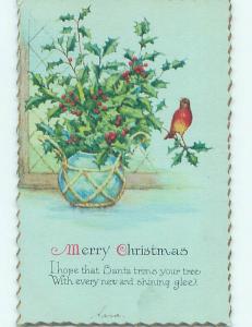 Unused Divided-Back christmas BIRD SITS ON HOLLY IN ANTIQUE POTTERY o4407