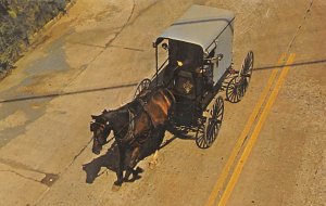 Amish closed buggy and horse Amish Country - Lancaster, Pennsylvania PA  