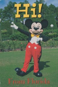 America Postcard - Walt Disney - Mickey Mouse - Hi From Florida    RR9375