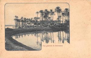 Cairo Egypt Bedrechen Scenic View Antique Postcard (J34825)