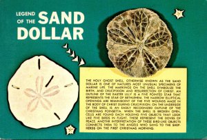 Holy Ghost Shell The Legend Of The Sand Dollar