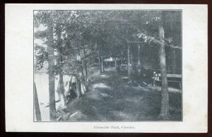 h2384 - CHESLEY Ontario Postcard 1910s Riverside Park