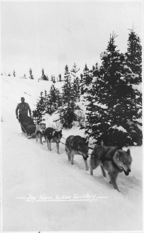 RPPC DOG SLED TEAM YUKON TERRITORY ALASKA REAL PHOTO POSTCARD (c. 1920s)